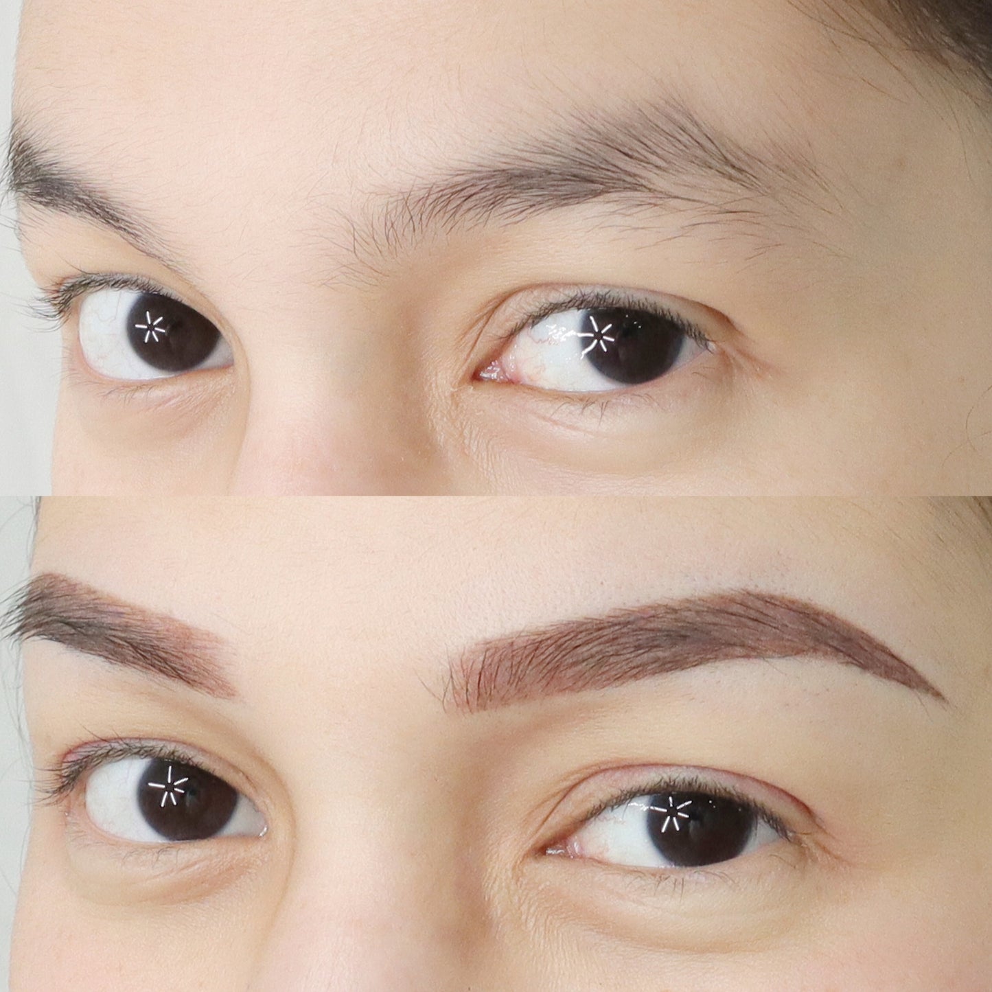 French Taupe Eyebrows (pure micro-pigmentation ombre)